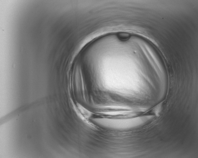 X0000080131515200612302023