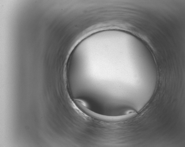 X0000080131516200612302023