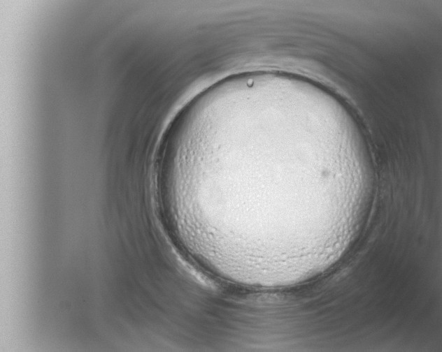 X0000080131517200612302023