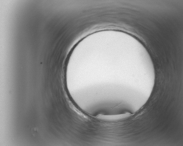 X0000080131518200612302023