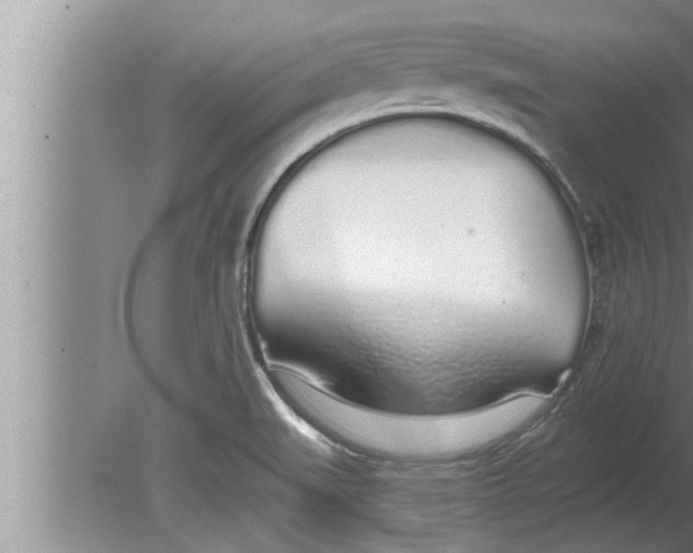 X0000080131519200612302023