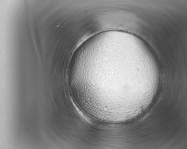 X0000080131521200612302023