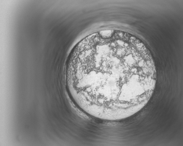 X0000080131522200612302023