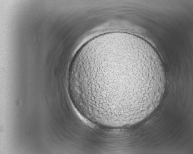 X0000080131523200612302023