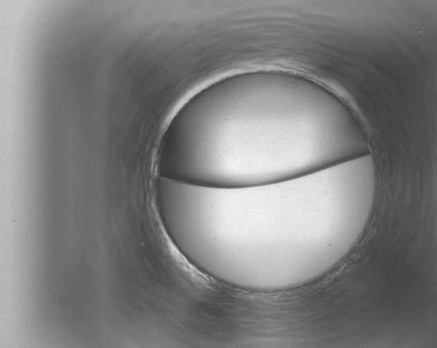 X0000080131524200612302023