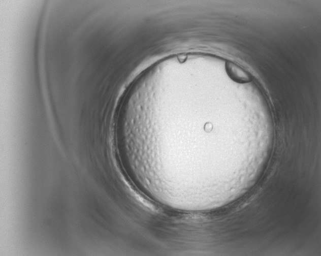 X0000080131525200612302023