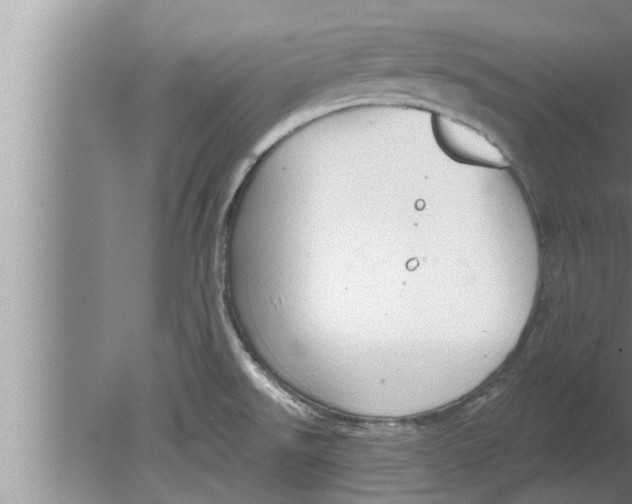 X0000080131526200612302023