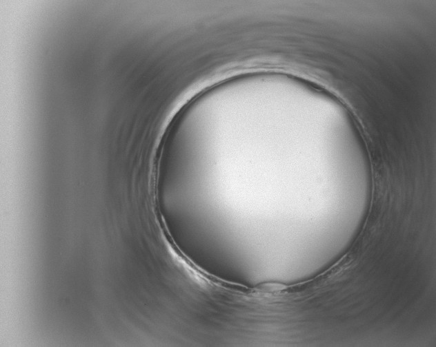 X0000080131527200612302023