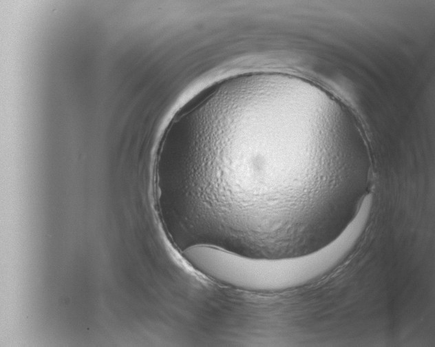 X0000080131528200612302023