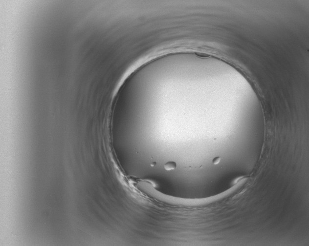 X0000080131530200612302023