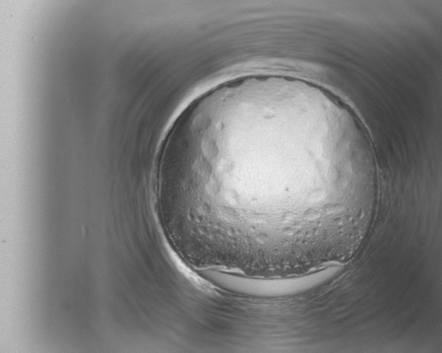 X0000080131531200612302023