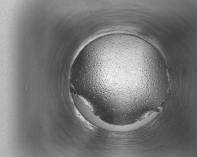 X0000080131532200612302023