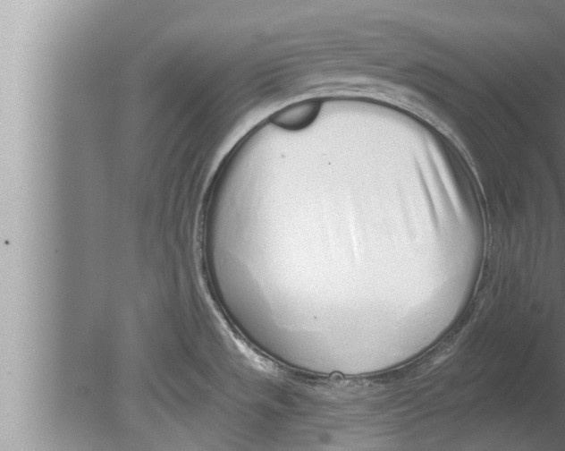 X0000080131533200612302023