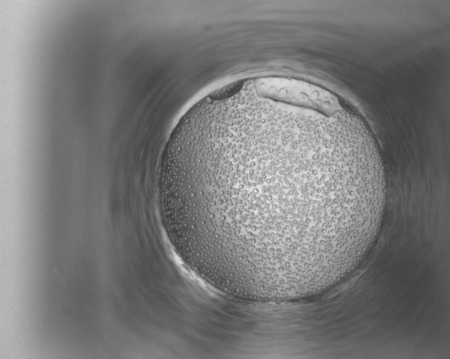 X0000080131534200612302023