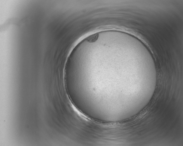 X0000080131535200612302023