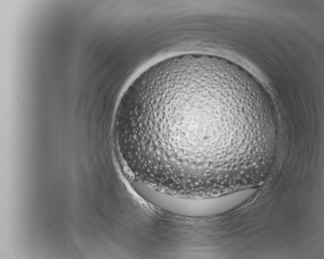 X0000080131536200612302023