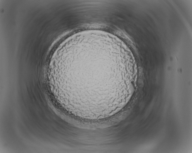 X0000080130012200701051431