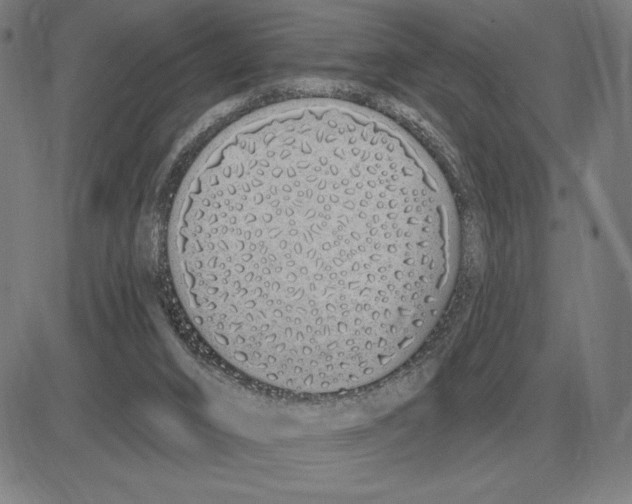 X0000080130016200701051431