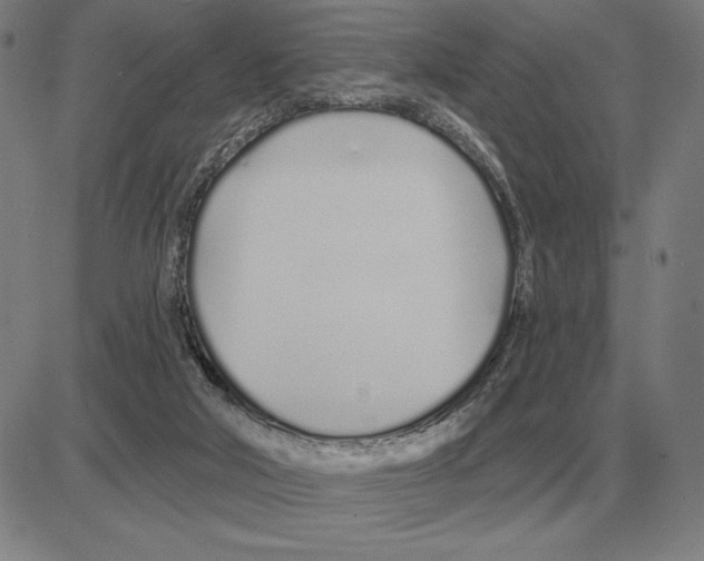 X0000080130018200701051431