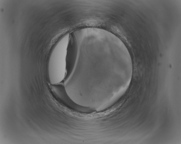 X0000080130019200701051431