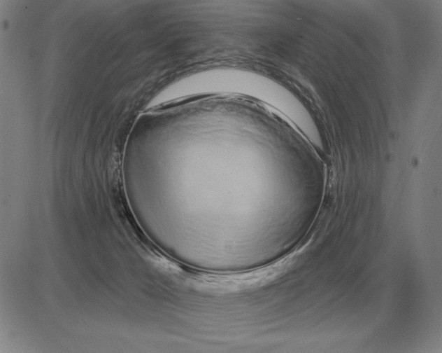X0000080130029200701051430