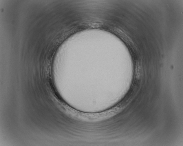 X0000080130030200701051430