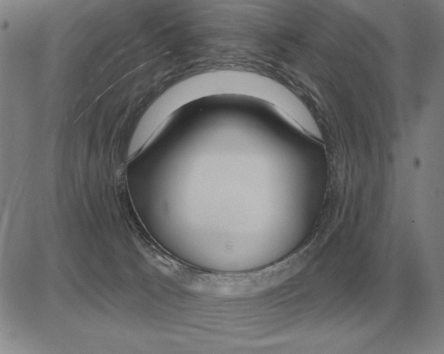 X0000080130033200701051430