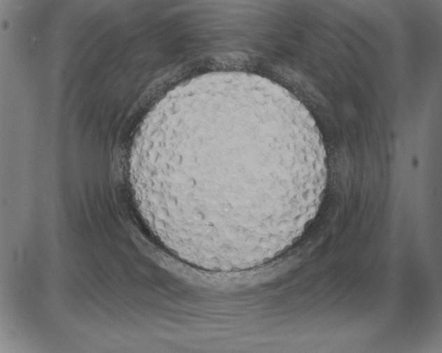 X0000080130038200701051430