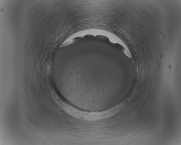 X0000080130039200701051430