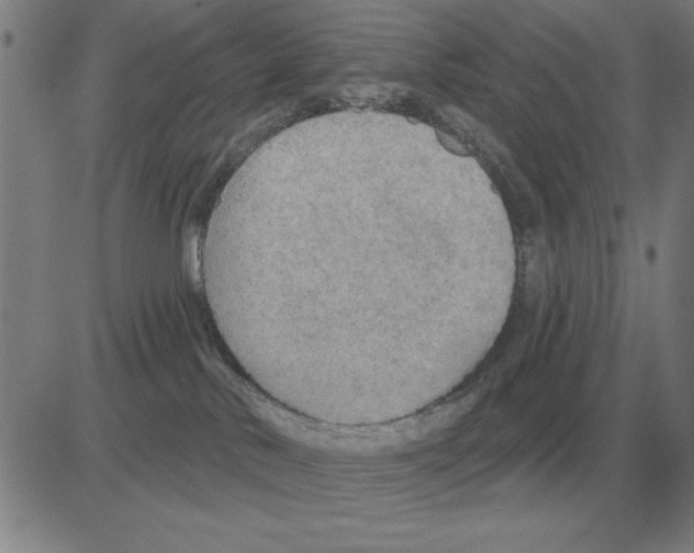 X0000080130042200701051430