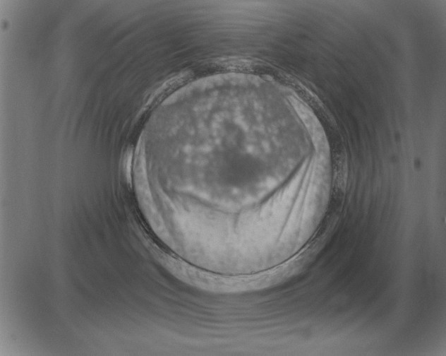 X0000080130047200701051430