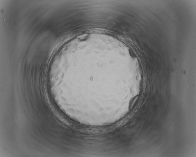 X0000080130049200701051429