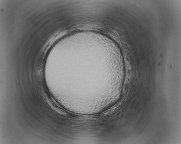X0000080130050200701051429