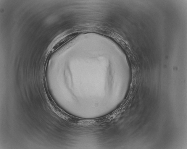 X0000080130051200701051429