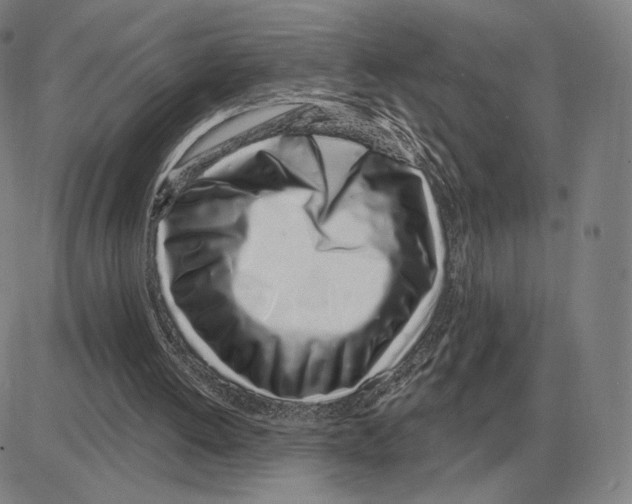 X0000080130052200701051429