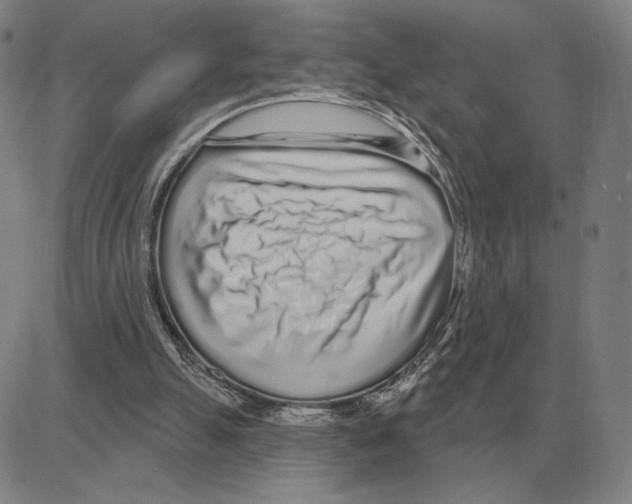 X0000080130055200701051429