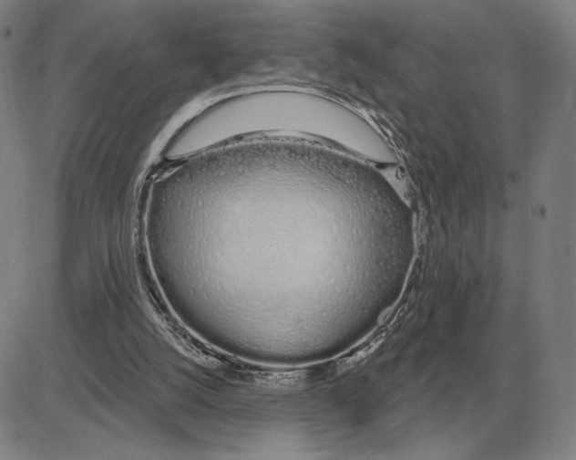 X0000080130056200701051429