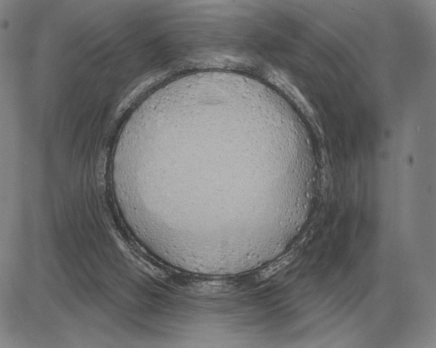 X0000080130058200701051429