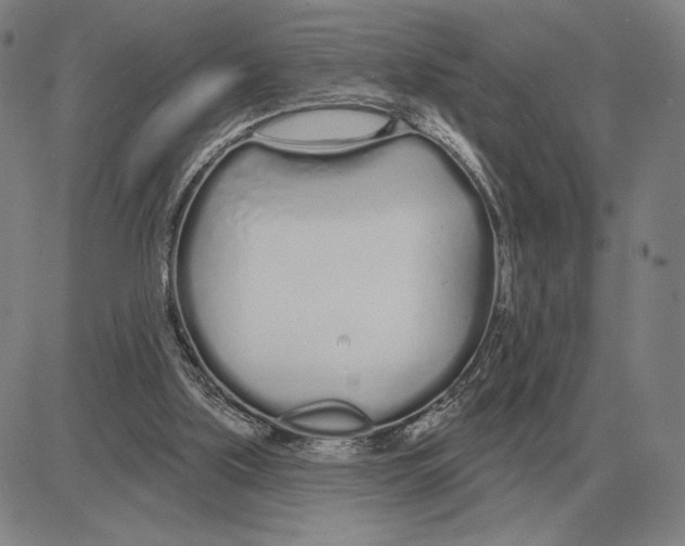 X0000080130059200701051429