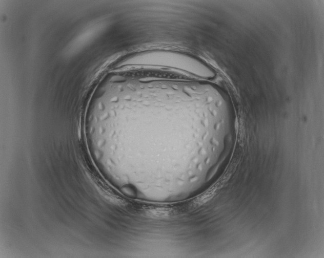 X0000080130062200701051429