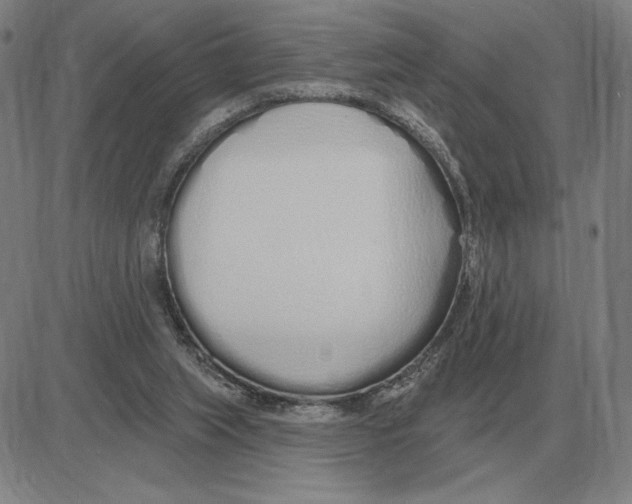 X0000080130063200701051429