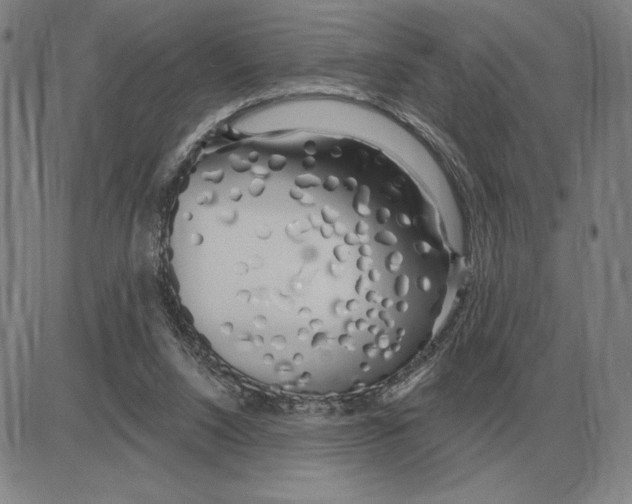 X0000080130064200701051429