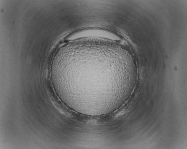 X0000080130068200701051430