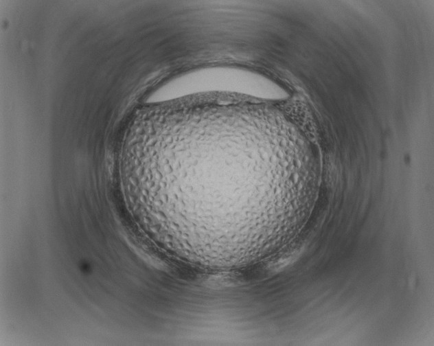 X0000080130072200701051430