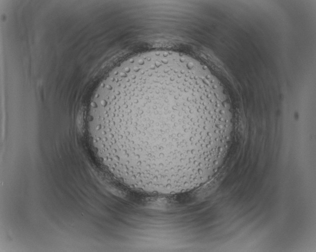 X0000080130074200701051430