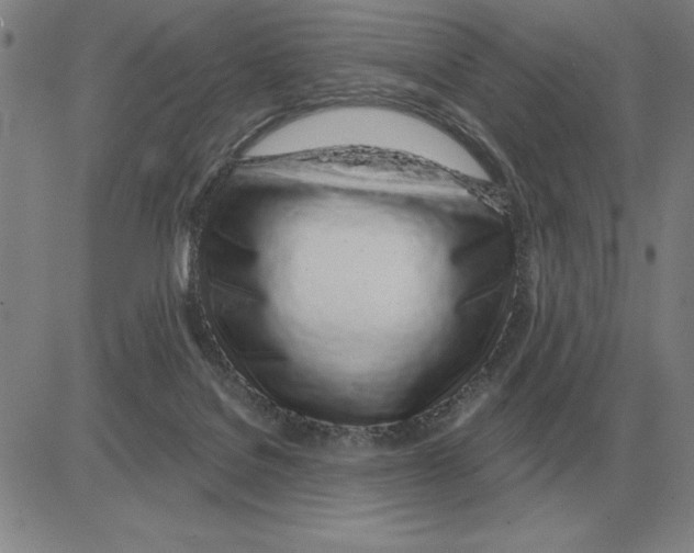 X0000080130076200701051430