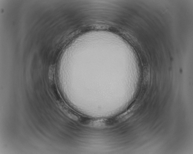 X0000080130078200701051430