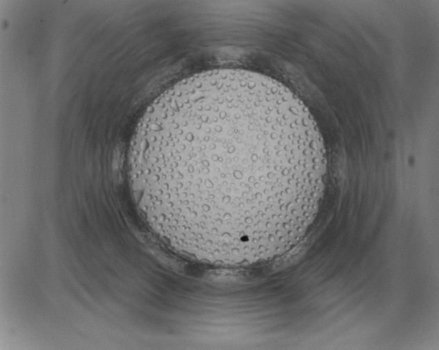 X0000080130082200701051430