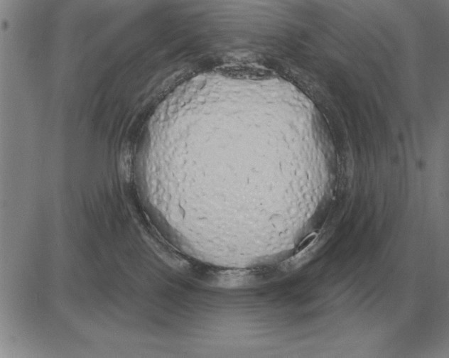 X0000080130090200701051430