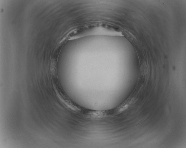 X0000080130092200701051430